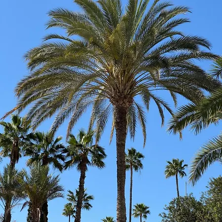 Piso Paraiso Vicino Al Mare Appartamento Maspalomas (Gran Canaria)
