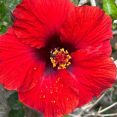 Appartamento Piso Paraiso Vicino Al Mare Maspalomas (Gran Canaria)