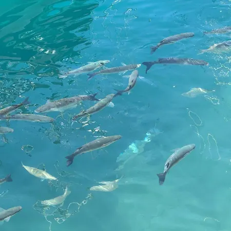 Piso Paraiso Vicino Al Mare *