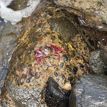Piso Paraiso Vicino Al Mare Maspalomas (Gran Canaria)